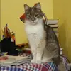Отзыв от Юлия Сергеева